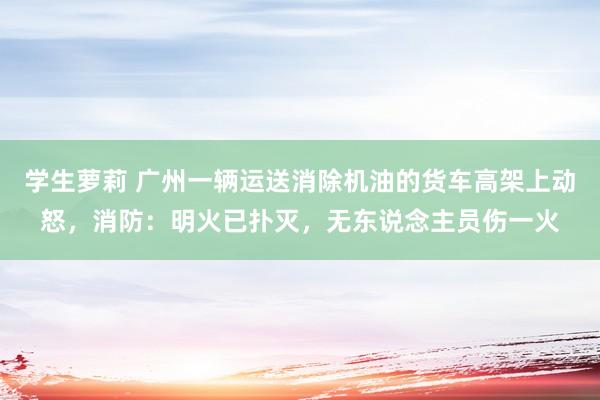 学生萝莉 广州一辆运送消除机油的货车高架上动怒，消防：明火已扑灭，无东说念主员伤一火