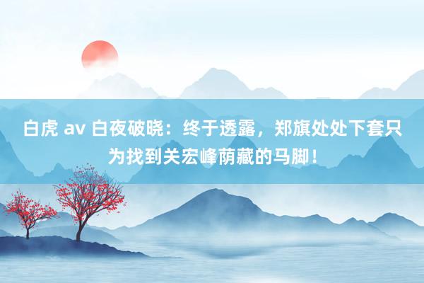 白虎 av 白夜破晓：终于透露，郑旗处处下套只为找到关宏峰荫藏的马脚！