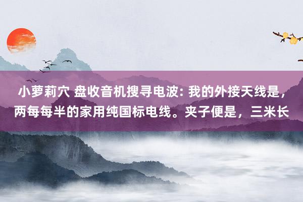 小萝莉穴 盘收音机搜寻电波: 我的外接天线是，两每每半的家用纯国标电线。夹子便是，三米长